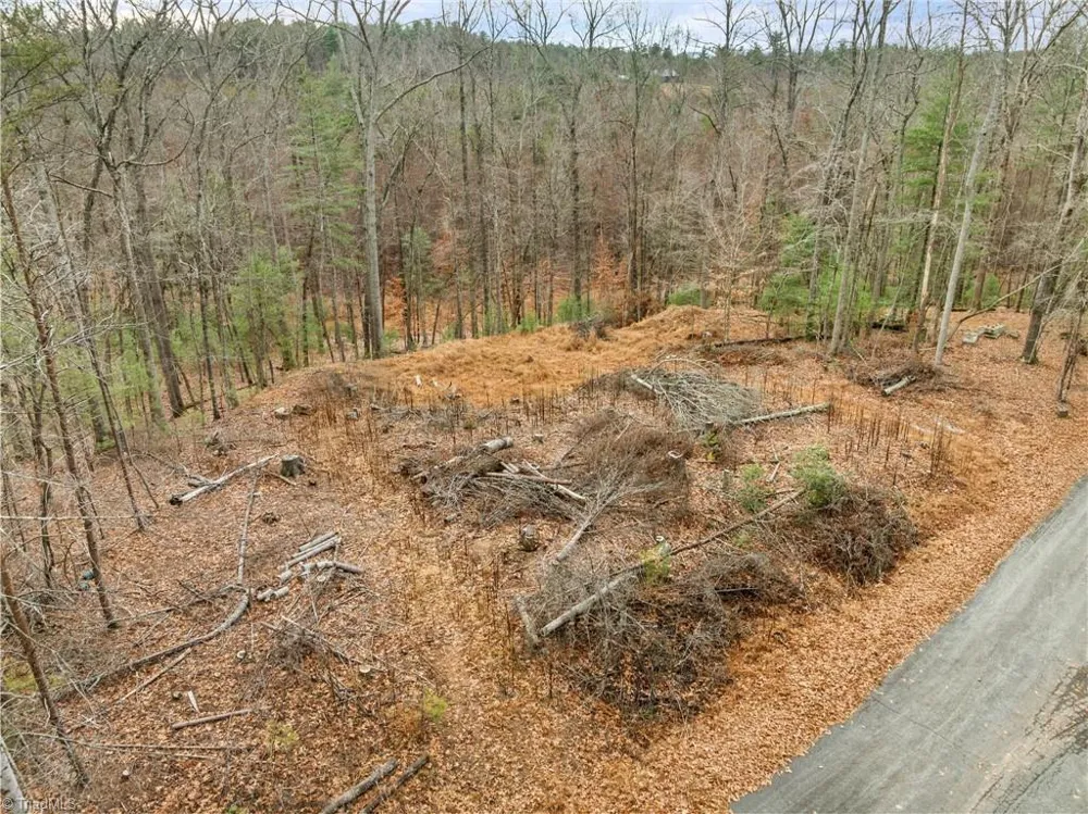 TBD Cedar Trail Mount Airy, NC 27030