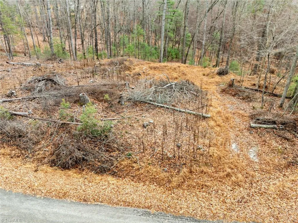 TBD Cedar Trail Mount Airy, NC 27030