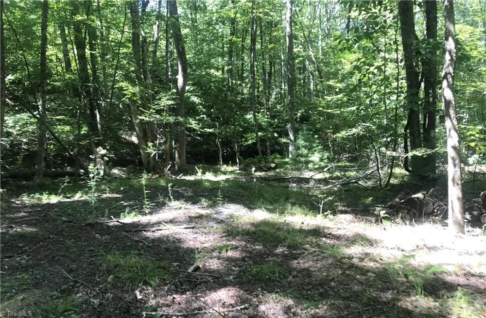 TBD Lot 28 Sonterra Drive Lansing, NC 28643