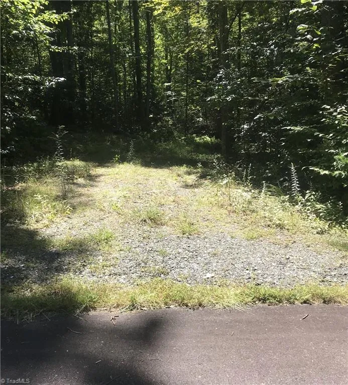 TBD Lot 28 Sonterra Drive Lansing, NC 28643