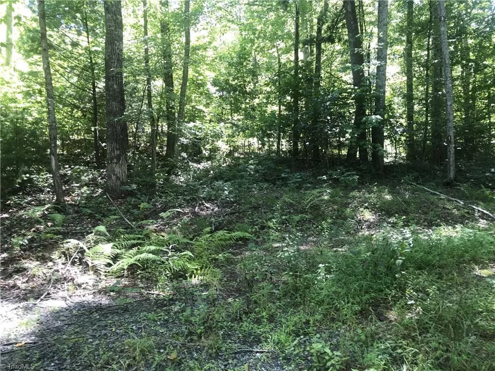TBD Lot 28 Sonterra Drive Lansing, NC 28643