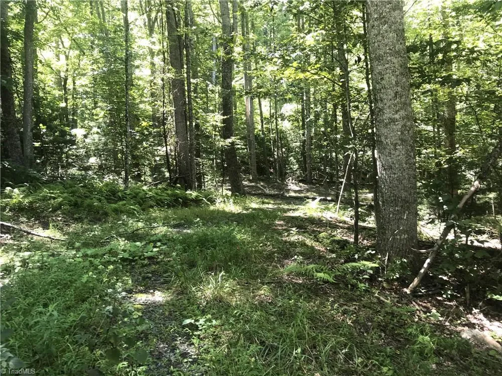 TBD Lot 28 Sonterra Drive Lansing, NC 28643