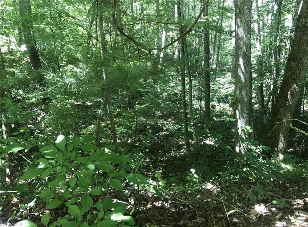 TBD Lot 28 Sonterra Drive Lansing, NC 28643