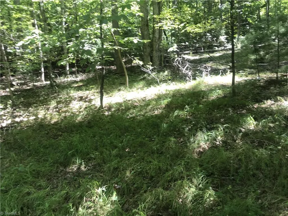 TBD Lot 28 Sonterra Drive Lansing, NC 28643