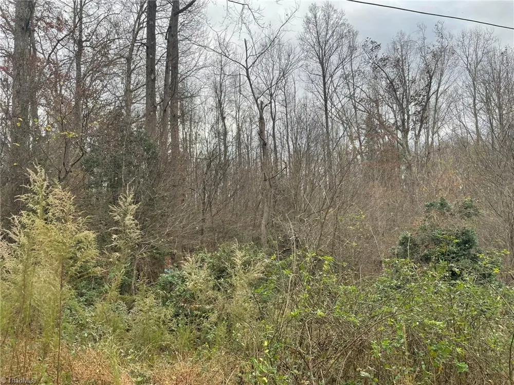 Block B Pulco Lane Ronda, NC 28670
