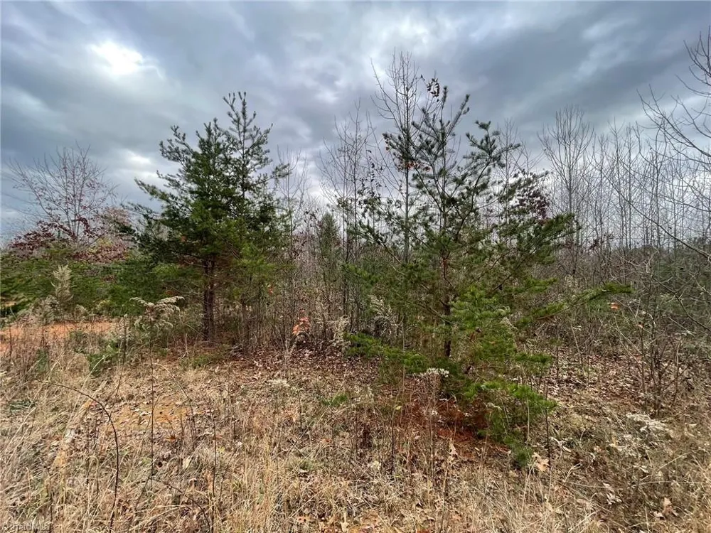 Lot 12 Pulco Lane Ronda, NC 28670