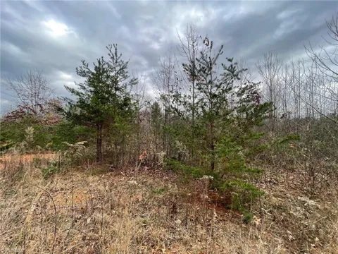 Lot 12 Pulco Lane