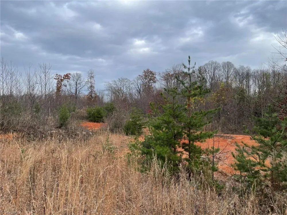 Lot 12 Pulco Lane Ronda, NC 28670