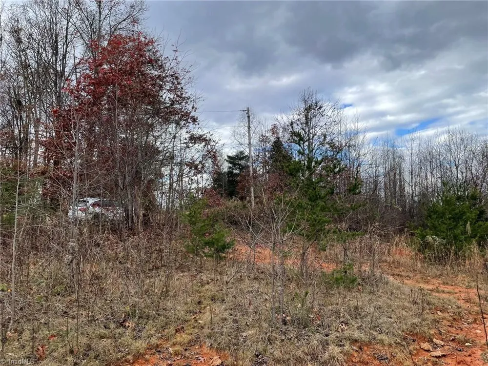 Lot 12 Pulco Lane Ronda, NC 28670