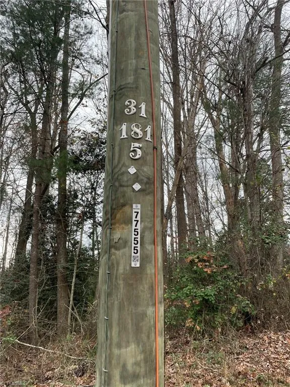 Lot 12 Pulco Lane Ronda, NC 28670