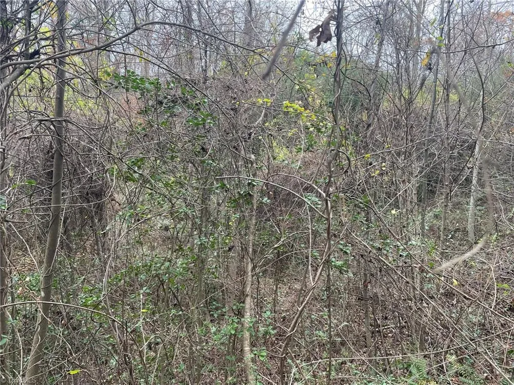 Block A Pulco Lane Ronda, NC 28670