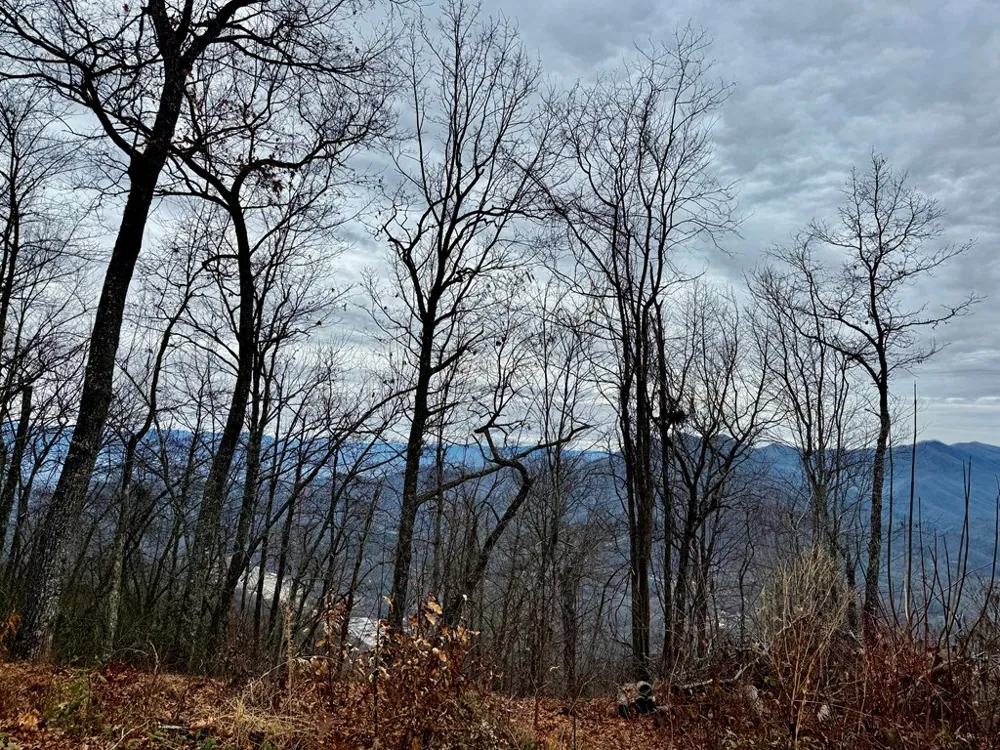 Vail Pass Rd Whittier, NC 28789