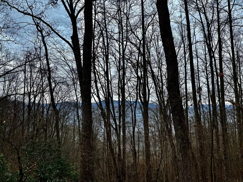 Vail Pass Rd Whittier, NC 28789