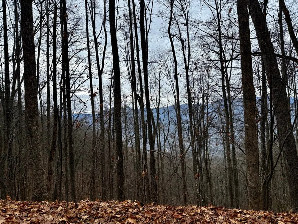 Vail Pass Rd Whittier, NC 28789