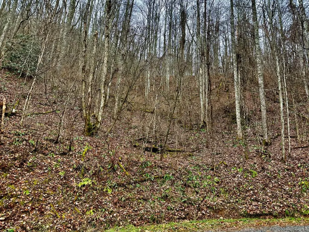 Vail Pass Rd Whittier, NC 28789