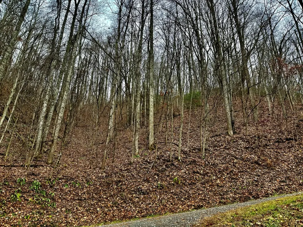 Vail Pass Rd Whittier, NC 28789