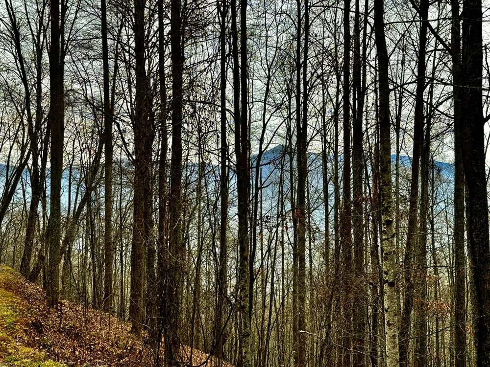 Vail Pass Rd Whittier, NC 28789