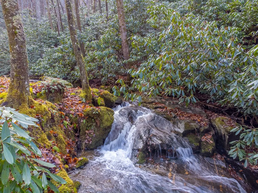 Little Ellijay Rd Franklin, NC 28734