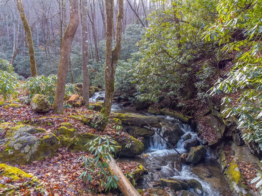 Little Ellijay Rd Franklin, NC 28734
