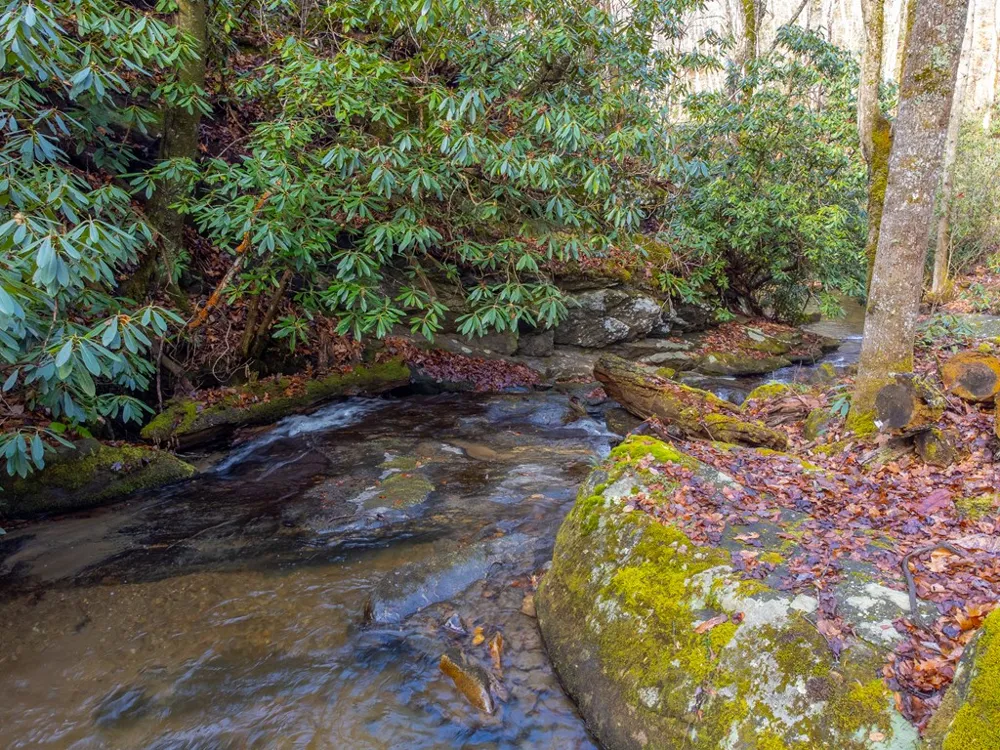 Little Ellijay Rd Franklin, NC 28734