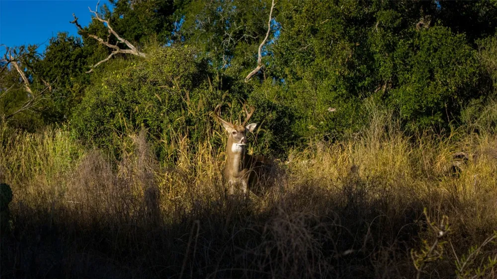 7702 Ranch Road 965 Llano, TX 78624