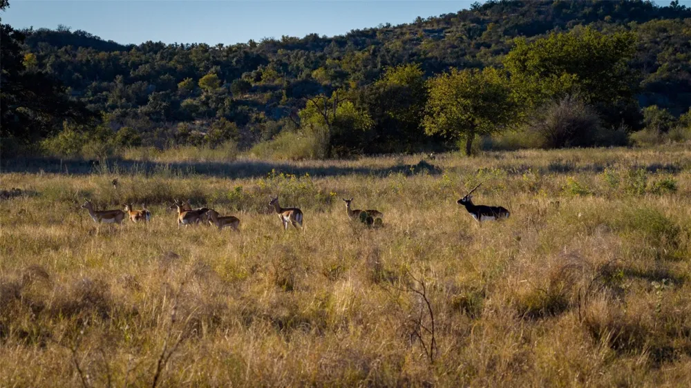 7702 Ranch Road 965 Llano, TX 78624