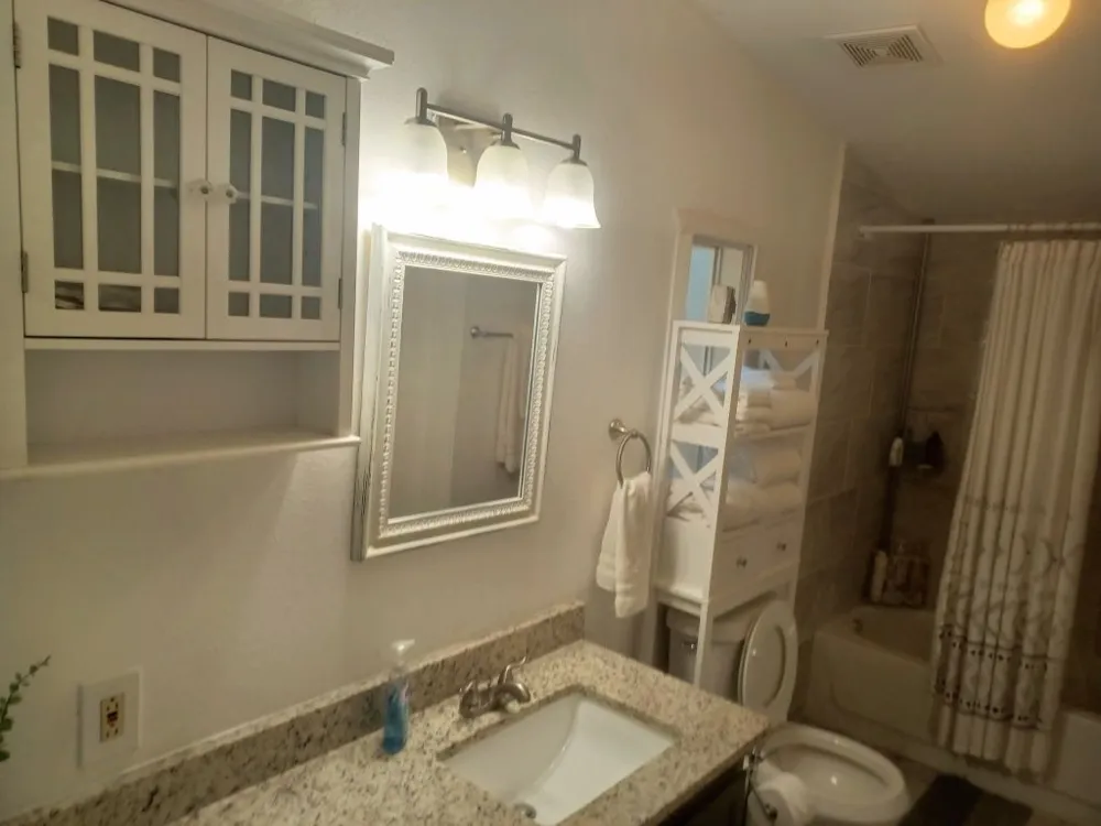 172 Pine Canyon Drive Smithville, TX 78957