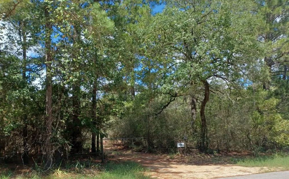 172 Pine Canyon Drive Smithville, TX 78957