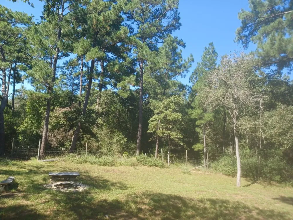 172 Pine Canyon Drive Smithville, TX 78957