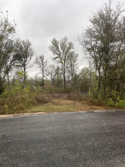 Balch Road