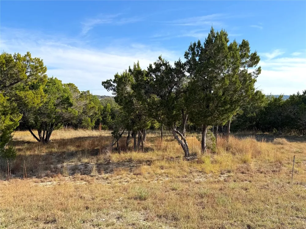 Terra Vista Court Canyon Lake, TX 78133