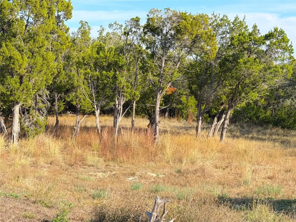 Terra Vista Court Canyon Lake, TX 78133