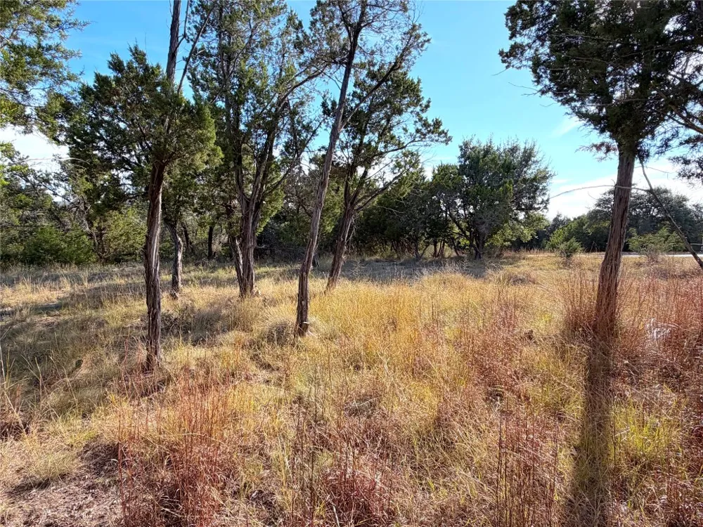 Terra Vista Court Canyon Lake, TX 78133