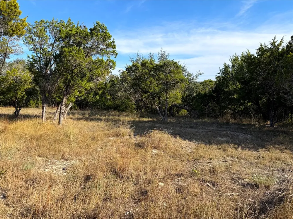 Terra Vista Court Canyon Lake, TX 78133