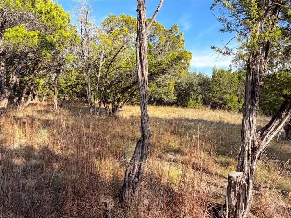 Terra Vista Court Canyon Lake, TX 78133