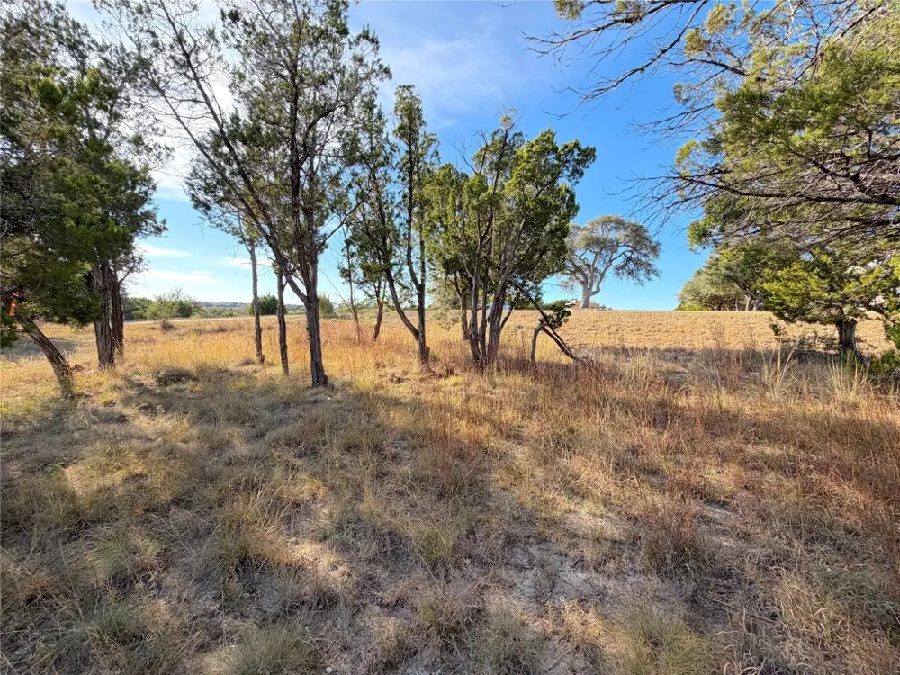 Terra Vista Court Canyon Lake, TX 78133
