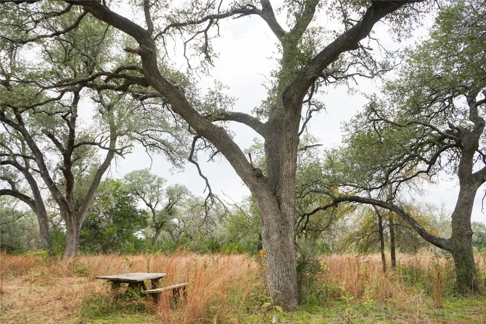 River Run Leander, TX 78641
