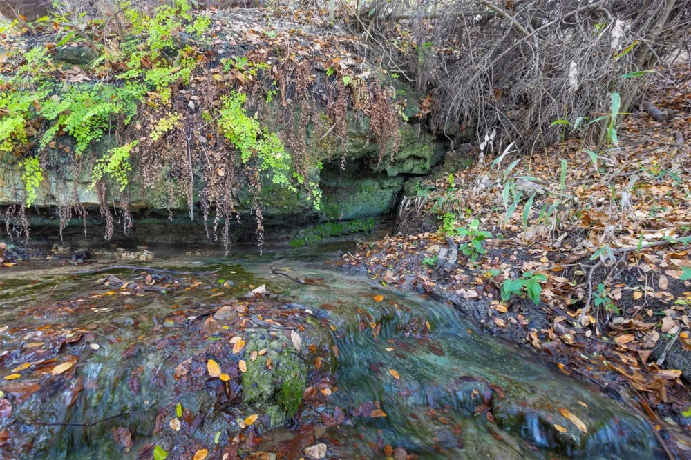 River Run Leander, TX 78641