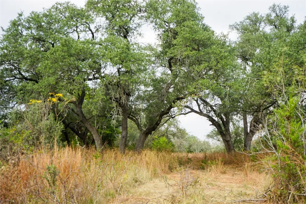 River Run Leander, TX 78641