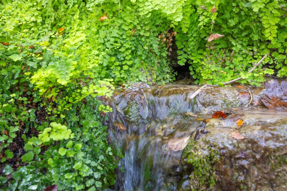 River Run Leander, TX 78641
