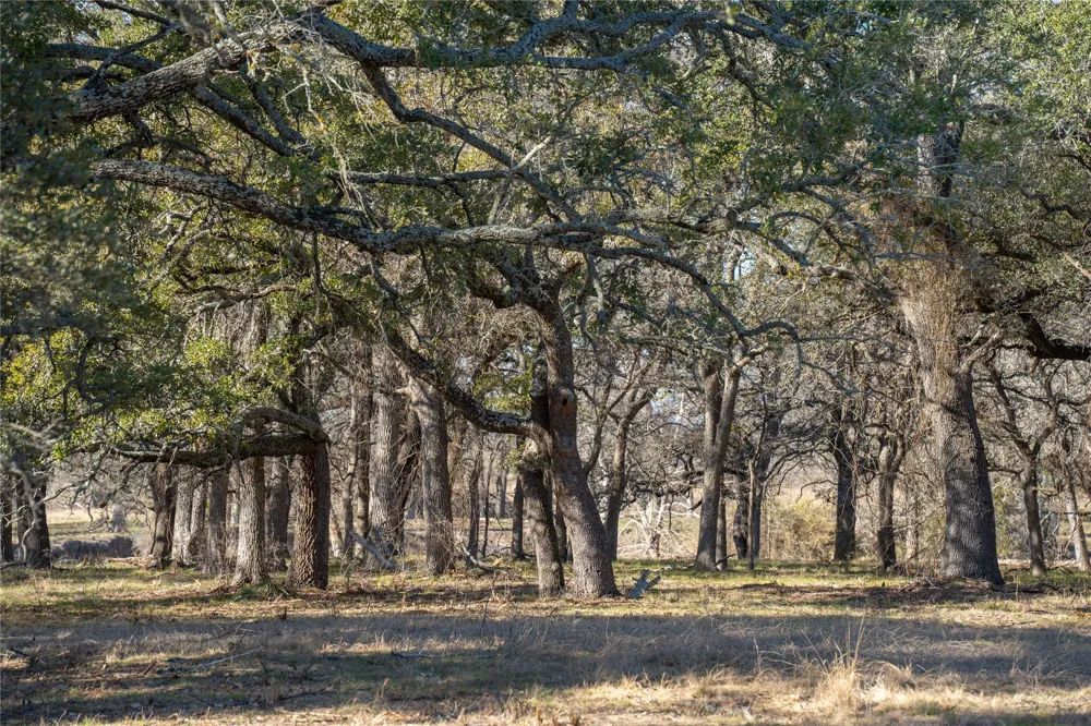 US 190 Highway Lometa, TX 76853