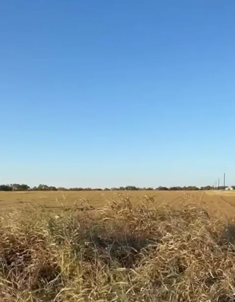 County Road 133 Center #Lot 6