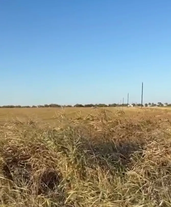 County Road 133 Center #Lot 6 Burlington, TX 76519