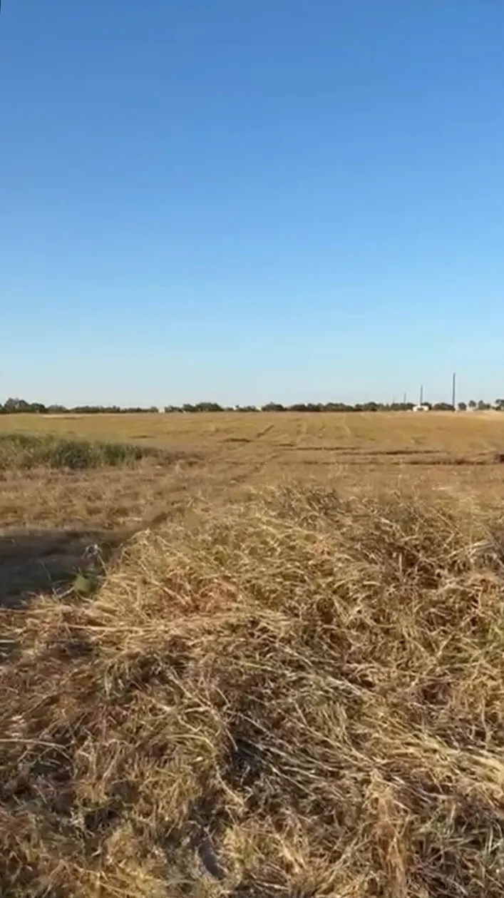County Road 133 Center #Lot 6 Burlington, TX 76519