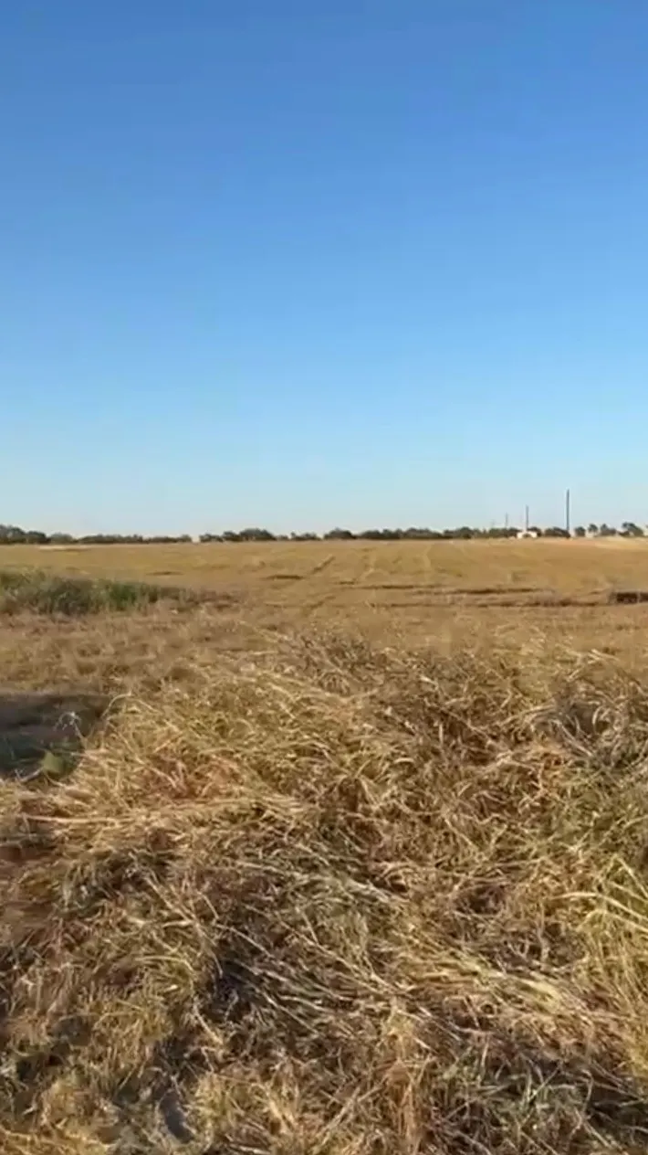 County Road 133 Center #Lot 6 Burlington, TX 76519