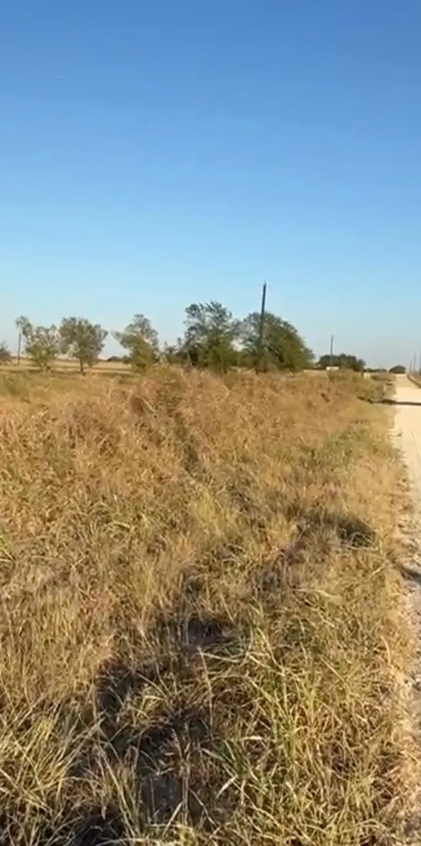 County Road 133 Center #Lot 6 Burlington, TX 76519