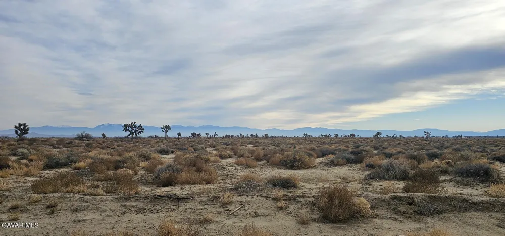 E 79th Vic Avenue G2 Street