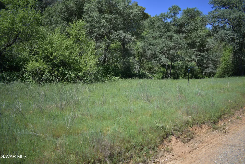 15788 Brewer Road Grass Valley, CA 95949