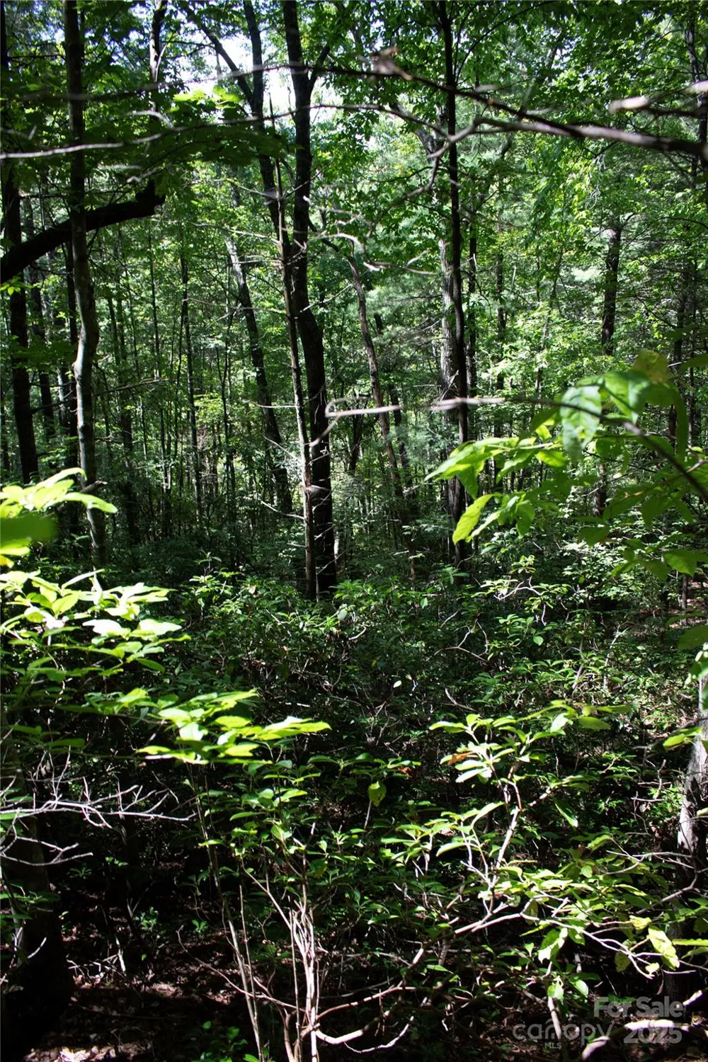TBD Frozen Creek #34 Brevard, NC 28712