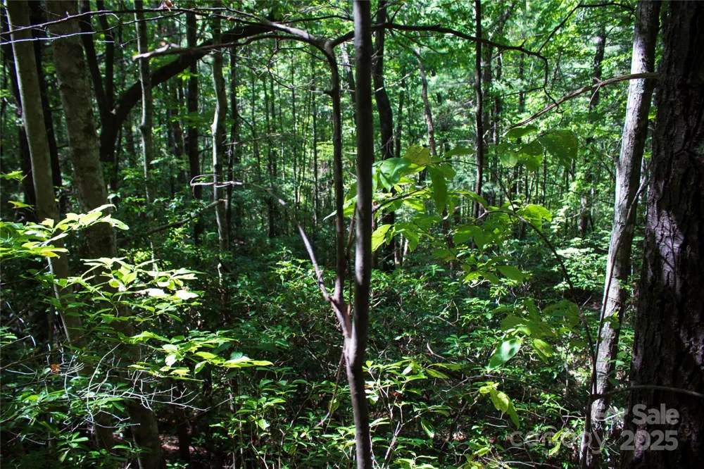 TBD Frozen Creek #34 Brevard, NC 28712